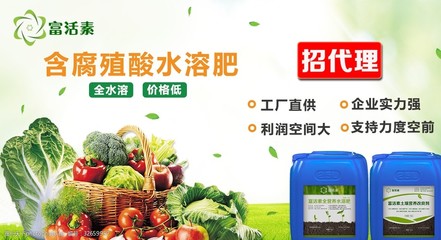 全媒體廣告代理服務(wù)，助力品牌精準(zhǔn)高效觸達(dá)中國(guó)市場(chǎng)